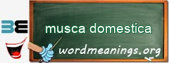 WordMeaning blackboard for musca domestica